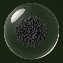 Black seed botanical
