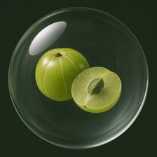 Amla botanical