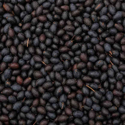 Saw Palmetto