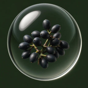 Saw palmetto berry extract in a glass orb
